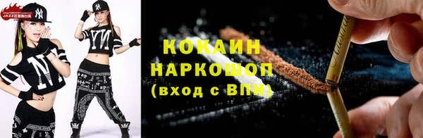 стаф Алзамай