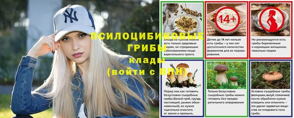 стафф Абинск