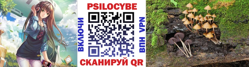 Псилоцибиновые грибы Cubensis  Сафоново 
