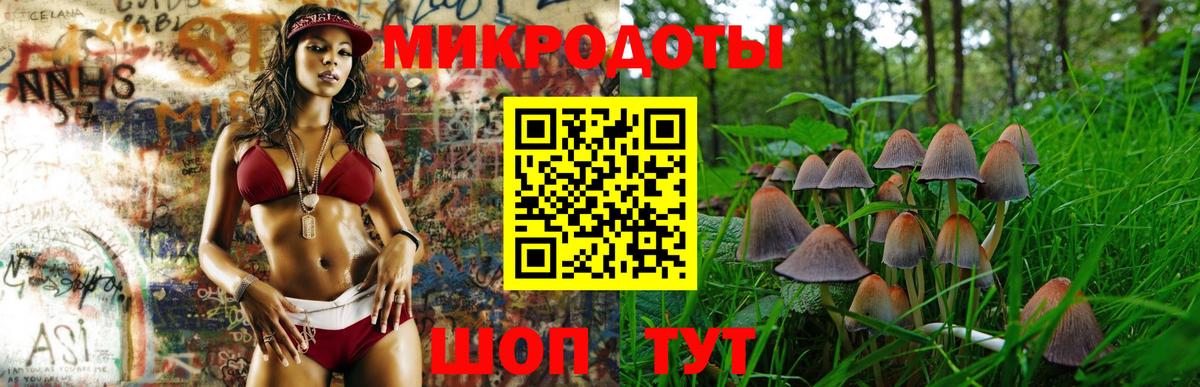 Галлюциногенные грибы прущие грибы Сафоново