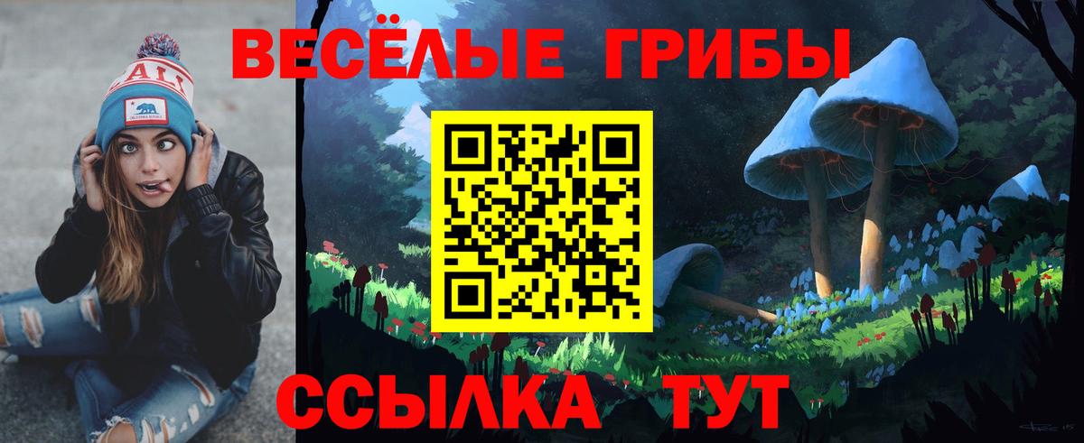 Сафоново  Псилоцибиновые грибы прущие грибы  Галлюциногенные грибы GOLDEN TEACHER  Вход с VPN 